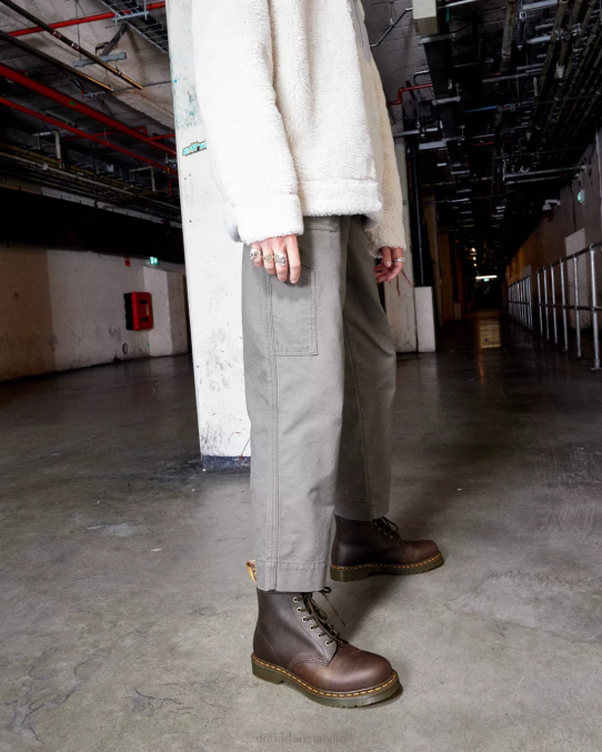 Dr. Martens apavi sievietes tumši brūns trakais zirgs 101 traki zirga ādas puszābaki LHJP65