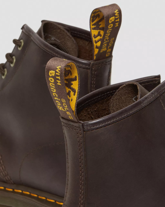 Dr. Martens apavi sievietes tumši brūns trakais zirgs 101 traki zirga ādas puszābaki LHJP65